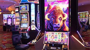 600 bet